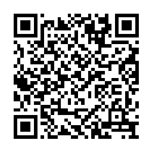 瞬间便是将那些盔甲翼龙直接包裹在了领域之中二维码生成