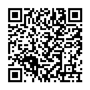 瞬间便死死压制住了陆祥生体内迸发出来的威压二维码生成