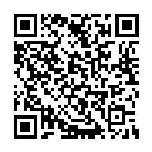 瞬间原本无比纷闹的天龙宗一下子变得鸦雀无声二维码生成