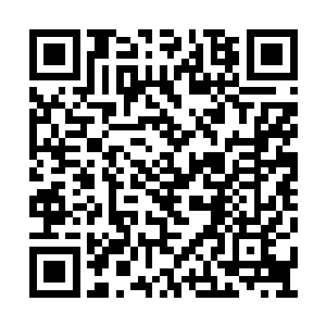 瞬间又是一套技能如同排山倒海一般释放了出去二维码生成