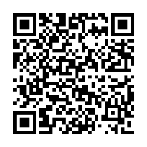 瞬间只见一条通道出现在了龙傲天几个人的面前二维码生成