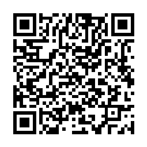 瞬间只见一道道血液从铜甲僵尸的手臂上留了出来二维码生成