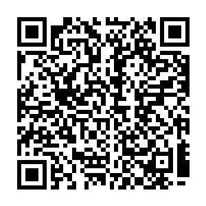 瞬间只见虚空之中的那些龙族的强者身上骤然间也猛的爆射出一道道恐怖的气息二维码生成
