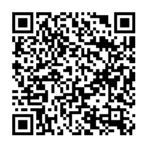 瞬间在一阵沉闷的撕裂声中被那血色猛虎的獠牙和利爪给深深地刺入了身体二维码生成