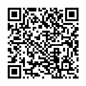 瞬间在龙傲天的周围也形成了一个无比恐怖的巨大的漩涡二维码生成