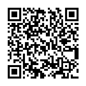 瞬间对于落阳的下一步行动轨迹的预判清晰了起来二维码生成