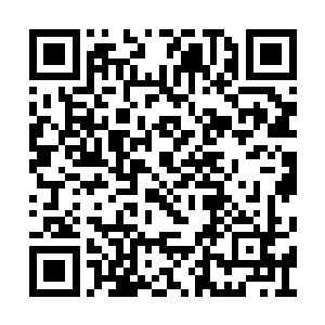 瞬间将幽冥七星毒蚁击伤了……虽然不至于致命二维码生成