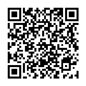 瞬间将整座实验室乃至地面战场的方方面面都扫描清楚二维码生成