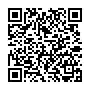 瞬间将这头食尸鬼切割成了几十份大小均等的尸块二维码生成