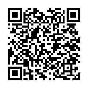 瞬间就将九阶魔导师和外层的火焰护罩都笼罩在了里面二维码生成