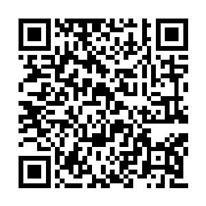 瞬间就将前方不断蠕动的荆棘藤蔓焚烧成了灰烬二维码生成