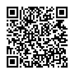 瞬间就将还在地上打滚的霍拉尔黑蛇束缚在里面二维码生成
