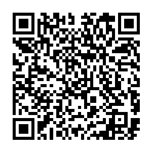 瞬间就被太古道德碑上震荡散发出来的那股力量震得变成了最基本的物质微粒二维码生成