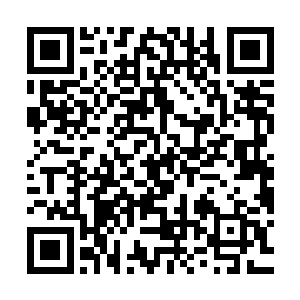 瞬间就被巨大十字剑光当中所蕴含的无数可怕至极的剑气所撕裂二维码生成