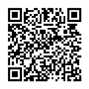 瞬间想明白一切的孤独霸脸色渐渐变得狰狞起来二维码生成