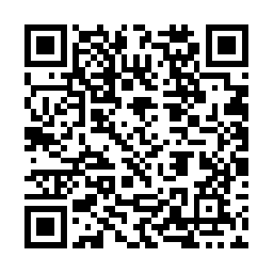 瞬间整个空间顿时充满了一股无比压抑的恐怖的气息二维码生成