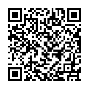 瞬间明白了为什么会在此时忽然出现魔界的魔王二维码生成