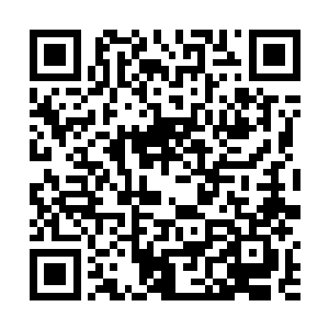 瞬间猜出了定是扎据在左边高地一带的马家军前来奇袭二维码生成