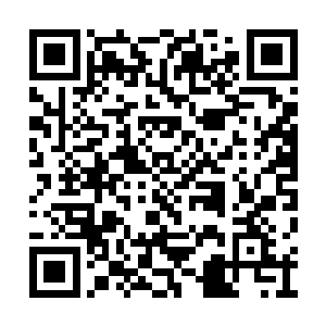 瞬间让他的手臂上的每一根骨头碎裂成了无数片二维码生成