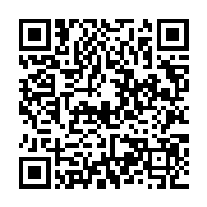 瞬间转身便化作了大蛇将我们卷起便朝着重重迷雾之外冲去二维码生成