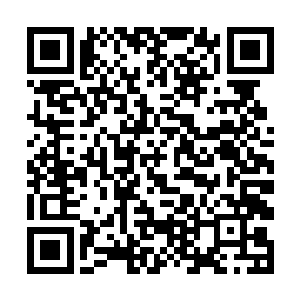 瞬间龙傲天的修为也陡然间提升到了神君顶峰的水平二维码生成