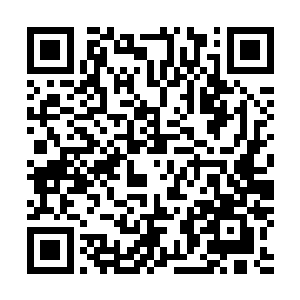 瞬间龙傲天的目光则定格在了噬灵鼠皇那对锐利的爪子上面二维码生成