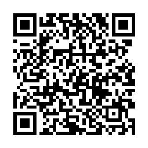 瞳孔中倒映着李耀一身漆黑的晶铠和殷红如血的灵纹二维码生成