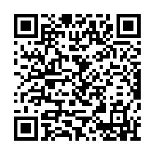 知道一切的缘由应该都出在这古怪的龙族本源上二维码生成