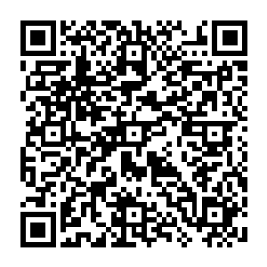 知道一边的风奇泽送上去了一颗药丸过后他才愣了一下发现自己居然是坐在的地上二维码生成