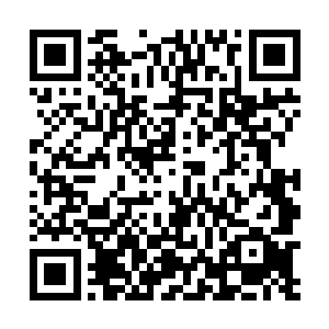 知道了这是幽灵君王施展的禁忌之术――――幽灵献祭二维码生成