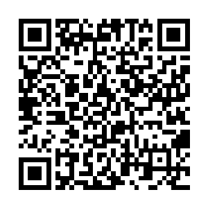 知道了飞龙部落的现状的众人都一副心事重重的样子二维码生成