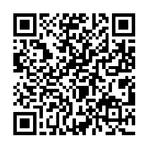 知道他心中已经开始重新估量迪卡和托恩之间的实力二维码生成