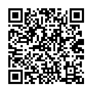 知道他进入蛮荒古域猎杀蛮荒巨兽赚取狩猎积分二维码生成