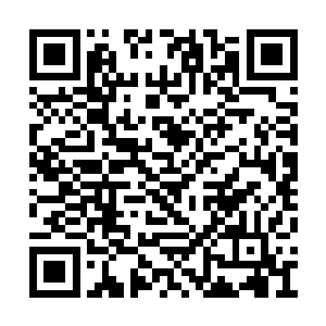 知道他逼迫张潇晗接任域主不仅仅是因为黑瘴山二维码生成