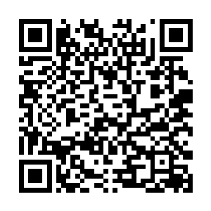 知道国王号向a国的不少贵族都发出了拍卖会的邀请函二维码生成