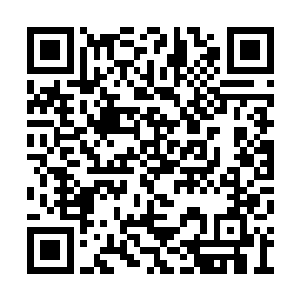 知道在几年内自己不可能有突破到圣王境的机会二维码生成