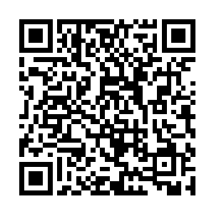 知道在前面还有萧打虎的三十余万部族军在等待自己二维码生成