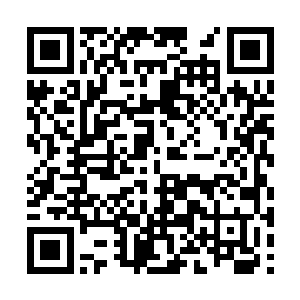 知道她指是肯定是我从三界中带出来的那些修士们二维码生成