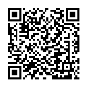 知道她真面目的林小乖自然不可能对她有半分喜欢二维码生成