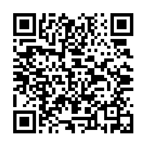 知道搞不赢老龙头怎么还会把老龙头给激怒成那样二维码生成