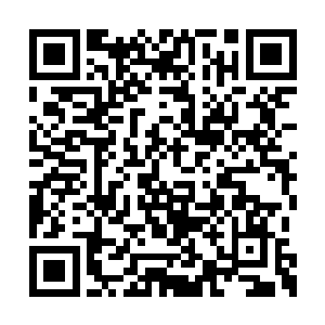 知道林封谨打算的林老爷都是笑得见牙不见眼的二维码生成