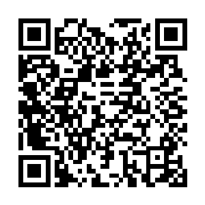 知道法身应该是在此之前就已经从木灵那里得到了帮助二维码生成