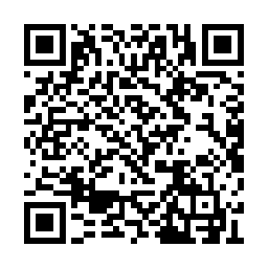 知道洪天南已经老老实实地把洪氏集团的资产都二维码生成