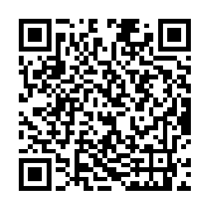 知道王靖露是谁的曹霑和他太太曹林娜就都是莞尔一笑二维码生成