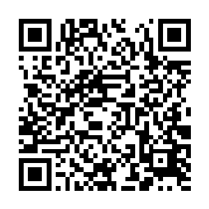 知道眼前这位夏真人不仅是即将登基的新皇的师尊二维码生成