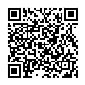 知道自己刚才在吕诚发招瞬间而召唤出的墨枢立了大功二维码生成