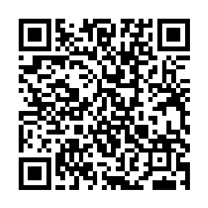 知道自己是龙耀会老大的人想来也不是什么简单人物二维码生成