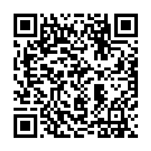 知道这个叫秦洛的华夏人在瑞典王室有着多么恐怖的影响力二维码生成