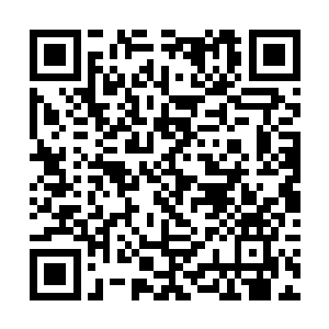 知道这个年轻人就是代天巡狩的淮南王府世子的时候二维码生成