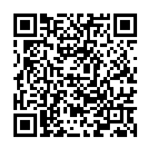 知道这对珍贵的马踏飞燕夜光杯要是到了沈童手中二维码生成